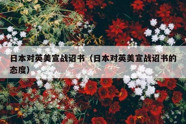 日本对英美宣战诏书（日本对英美宣战诏书的态度） 第1张