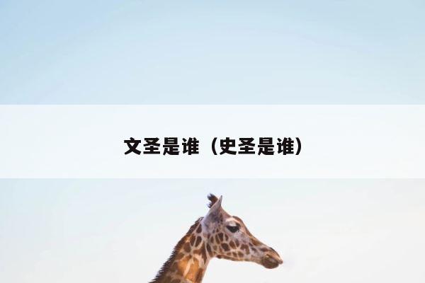 文圣是谁（史圣是谁） 第1张