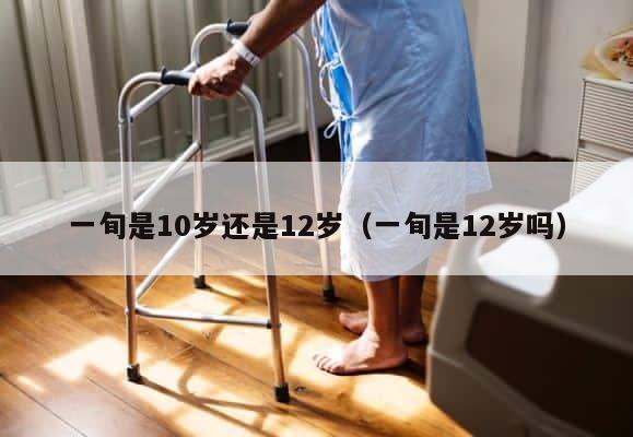 一旬是10岁还是12岁（一旬是12岁吗） 第1张