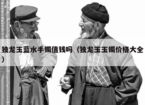 独龙玉蓝水手镯值钱吗（独龙玉玉镯价格大全） 第1张