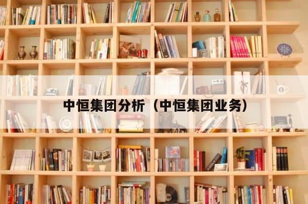 中恒集团分析（中恒集团业务） 第1张