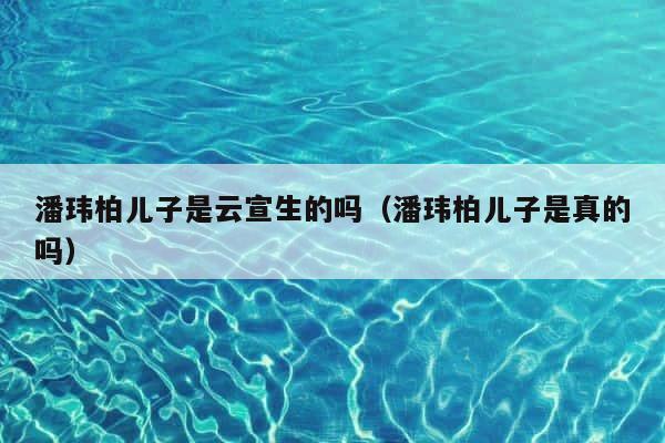 潘玮柏儿子是云宣生的吗（潘玮柏儿子是真的吗） 第1张