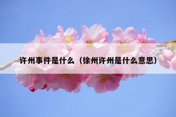 许州事件是什么（徐州许州是什么意思） 第1张