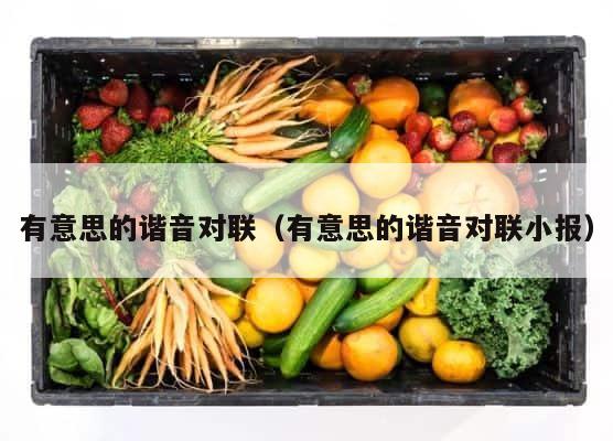 有意思的谐音对联（有意思的谐音对联小报） 第1张