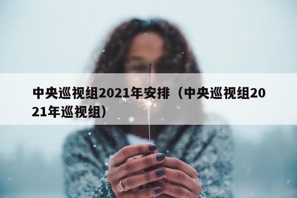 中央巡视组2021年安排（中央巡视组2021年巡视组） 第1张