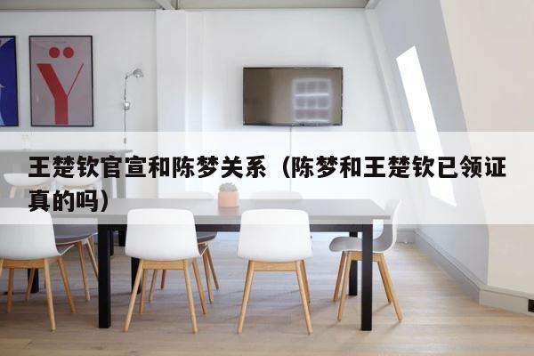 王楚钦官宣和陈梦关系（陈梦和王楚钦已领证真的吗） 第1张