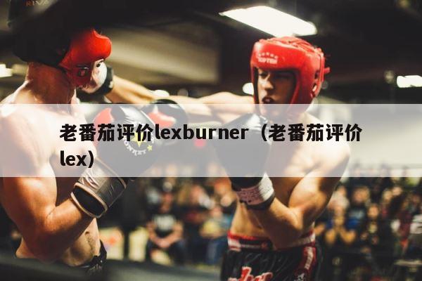 老番茄评价lexburner（老番茄评价lex） 第1张
