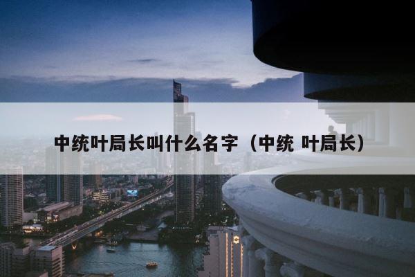 中统叶局长叫什么名字（中统 叶局长） 第1张