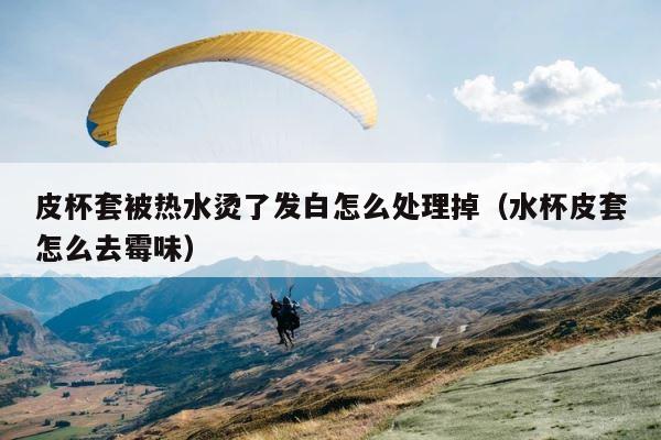 皮杯套被热水烫了发白怎么处理掉（水杯皮套怎么去霉味） 第1张