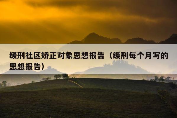 缓刑社区矫正对象思想报告（缓刑每个月写的思想报告） 第1张