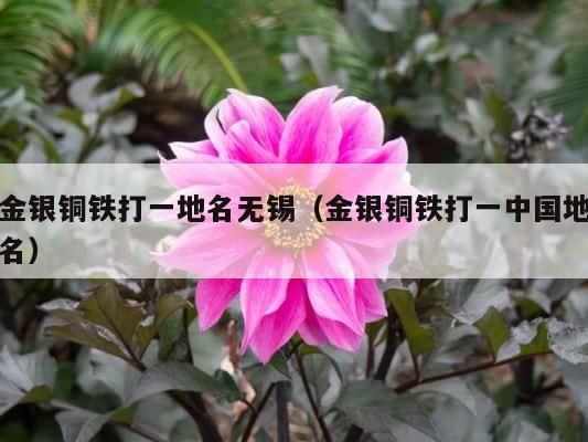 金银铜铁打一地名无锡（金银铜铁打一中国地名） 第1张