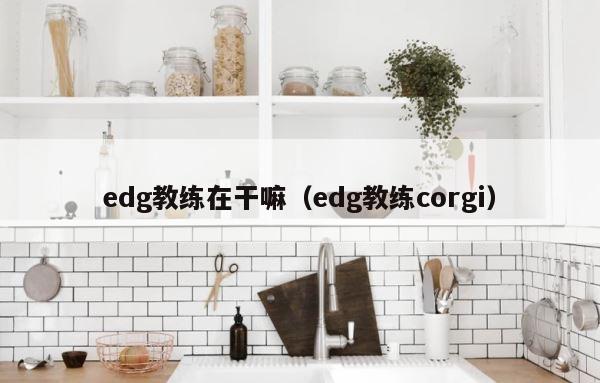 edg教练在干嘛（edg教练corgi） 第1张