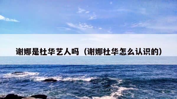 谢娜是杜华艺人吗（谢娜杜华怎么认识的） 第1张