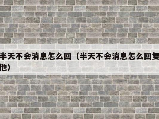 半天不会消息怎么回（半天不会消息怎么回复他） 第1张