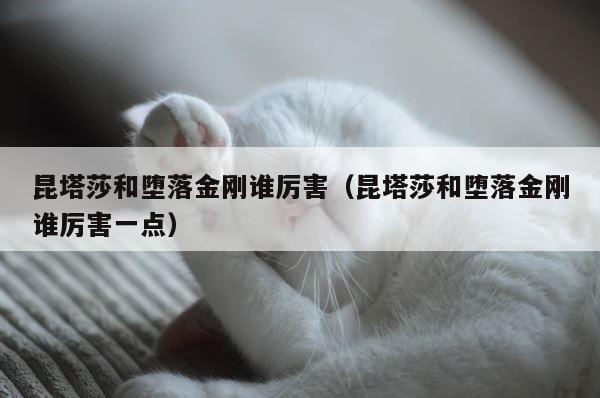昆塔莎和堕落金刚谁厉害（昆塔莎和堕落金刚谁厉害一点） 第1张