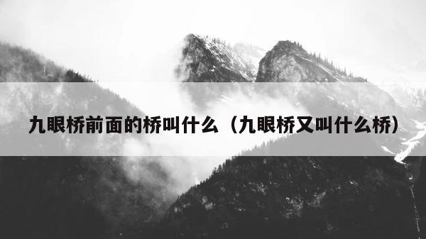 九眼桥前面的桥叫什么（九眼桥又叫什么桥） 第1张