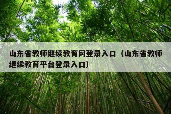 山东省教师继续教育网登录入口（山东省教师继续教育平台登录入口） 第1张