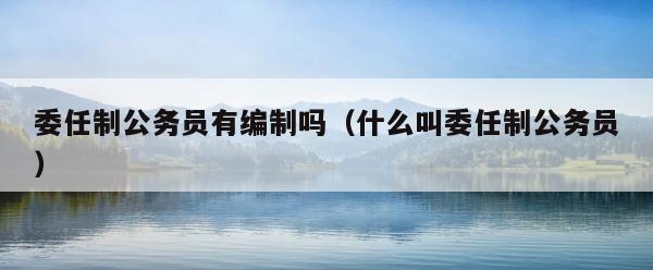 委任制公务员有编制吗（什么叫委任制公务员） 第1张