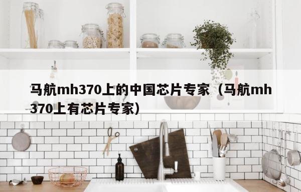 马航mh370上的中国芯片专家（马航mh370上有芯片专家） 第1张