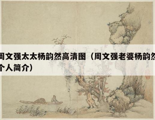 周文强太太杨韵然高清图（周文强老婆杨韵然个人简介） 第1张