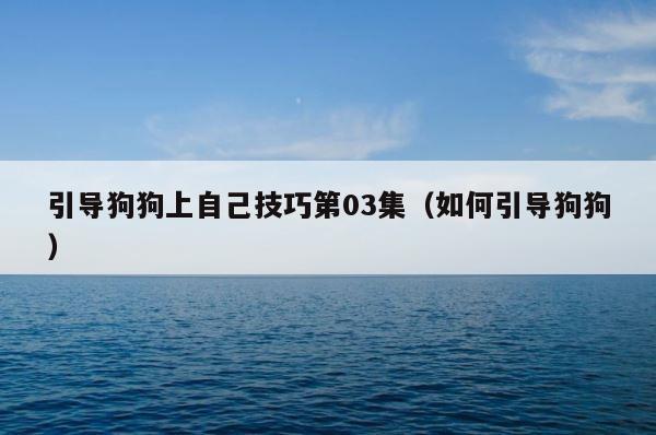 引导狗狗上自己技巧第03集（如何引导狗狗） 第1张