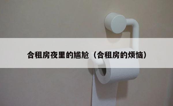 合租房夜里的尴尬（合租房的烦恼） 第1张