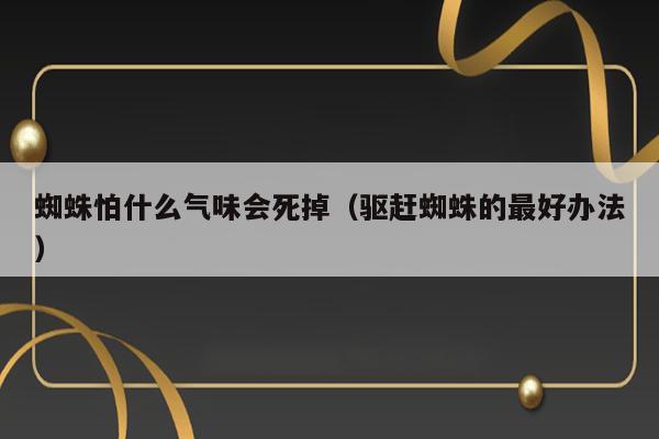 蜘蛛怕什么气味会死掉（驱赶蜘蛛的最好办法） 第1张