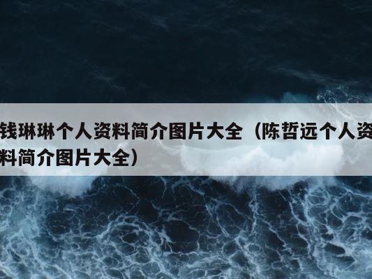 钱琳琳个人资料简介图片大全（陈哲远个人资料简介图片大全） 第1张