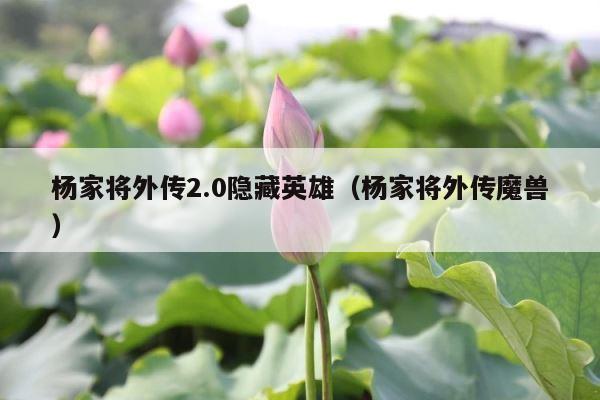 杨家将外传2.0隐藏英雄（杨家将外传魔兽） 第1张