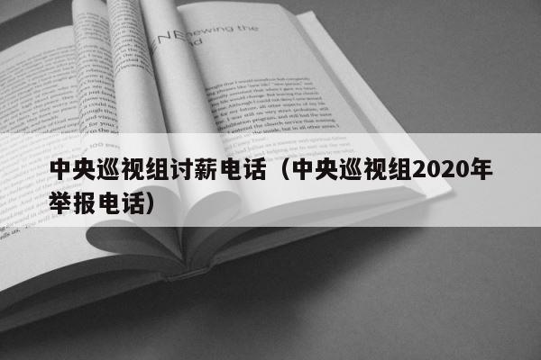 中央巡视组讨薪电话（中央巡视组2020年举报电话） 第1张