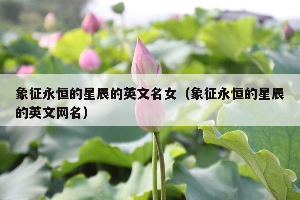 象征永恒的星辰的英文名女（象征永恒的星辰的英文网名） 第1张