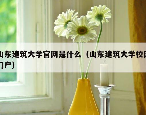 山东建筑大学官网是什么（山东建筑大学校园门户） 第1张