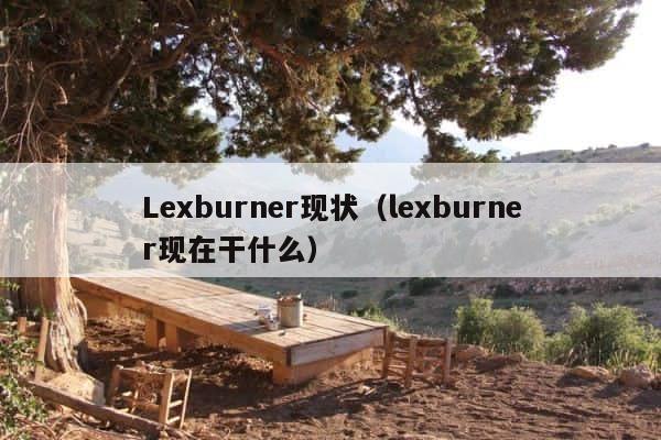 Lexburner现状（lexburner现在干什么） 第1张