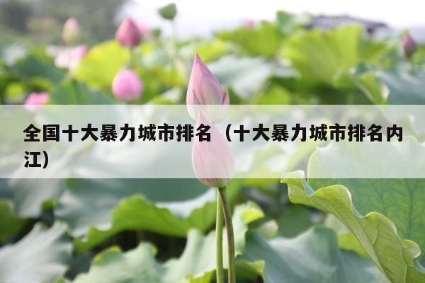 全国十大暴力城市排名（十大暴力城市排名内江） 第1张