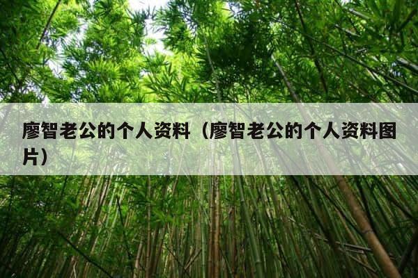 廖智老公的个人资料（廖智老公的个人资料图片） 第1张