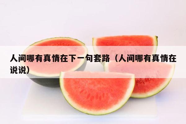 人间哪有真情在下一句套路（人间哪有真情在说说） 第1张