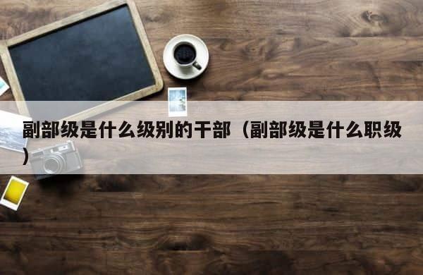 副部级是什么级别的干部（副部级是什么职级） 第1张