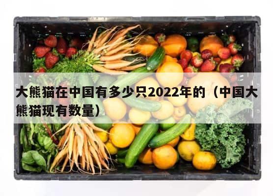 大熊猫在中国有多少只2022年的（中国大熊猫现有数量） 第1张
