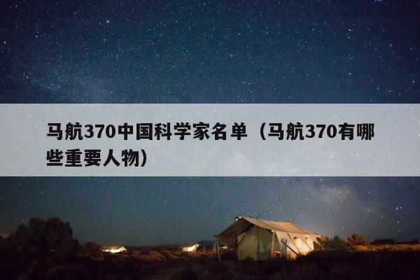 马航370中国科学家名单（马航370有哪些重要人物） 第1张