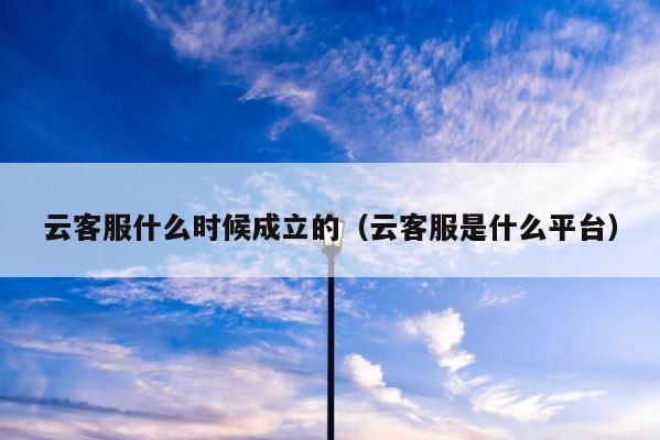 云客服什么时候成立的（云客服是什么平台） 第1张