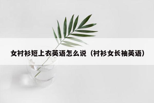 女衬衫短上衣英语怎么说（衬衫女长袖英语） 第1张