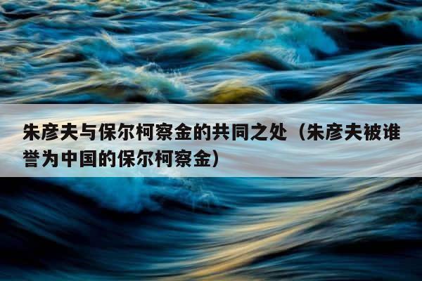 朱彦夫与保尔柯察金的共同之处（朱彦夫被谁誉为中国的保尔柯察金） 第1张
