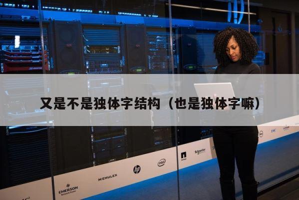 又是不是独体字结构（也是独体字嘛） 第1张