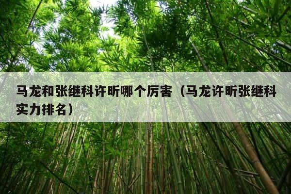 马龙和张继科许昕哪个厉害（马龙许昕张继科实力排名） 第1张