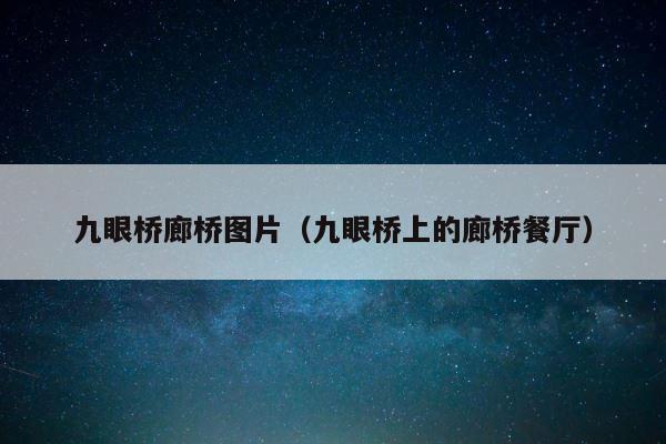 九眼桥廊桥图片（九眼桥上的廊桥餐厅） 第1张