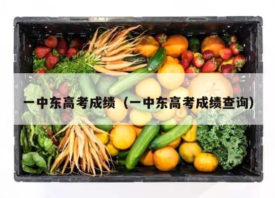 一中东高考成绩（一中东高考成绩查询） 第1张