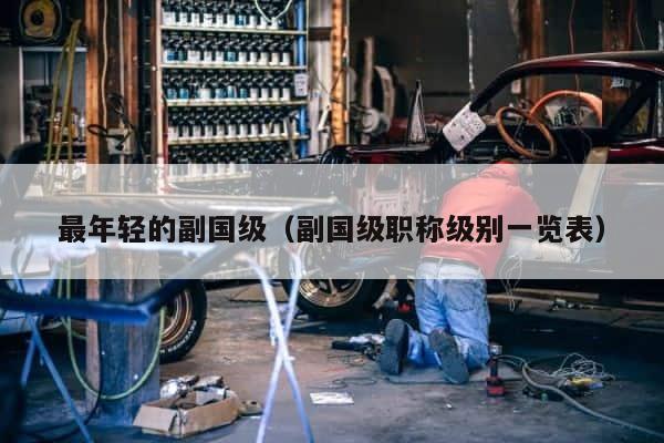 最年轻的副国级（副国级职称级别一览表） 第1张
