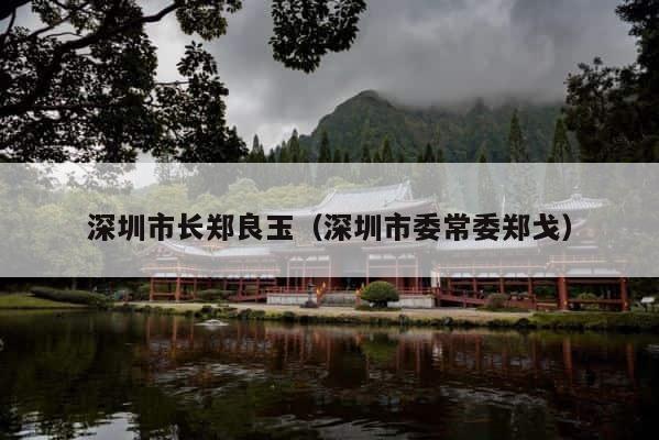 深圳市长郑良玉（深圳市委常委郑戈） 第1张