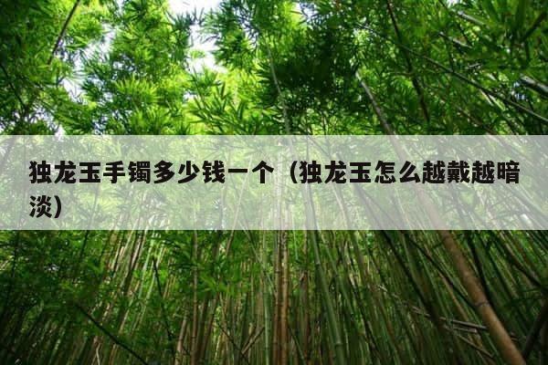 独龙玉手镯多少钱一个（独龙玉怎么越戴越暗淡） 第1张