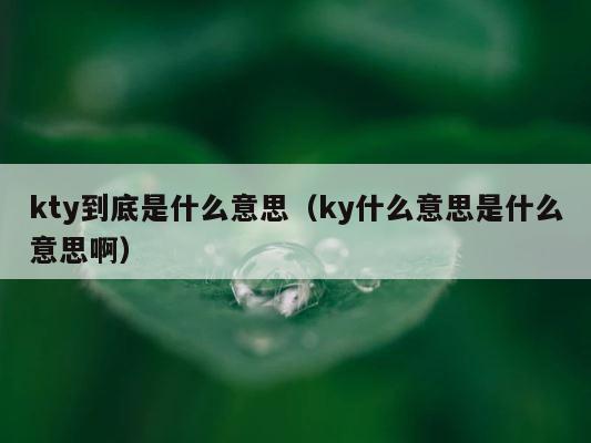 kty到底是什么意思（ky什么意思是什么意思啊） 第1张